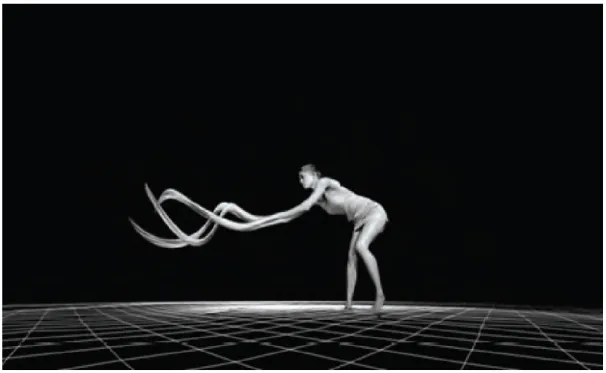 Figura 4 – Klaus Obermaier, Sacre du Printemps, 2006