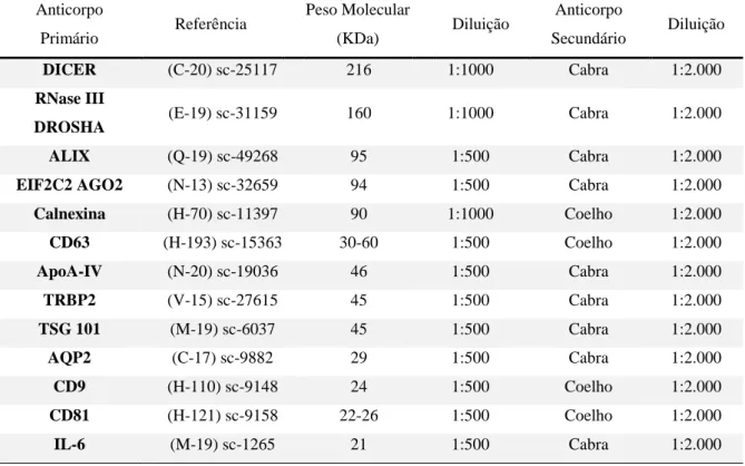 Tabela  4.  Relação  dos  anticorpos  primários,  sua  referência/código,  seus  respectivos  pesos  moleculares em quilodaltons, diluição realizada e seus respectivos anticorpos secundários com a  diluição realizada.