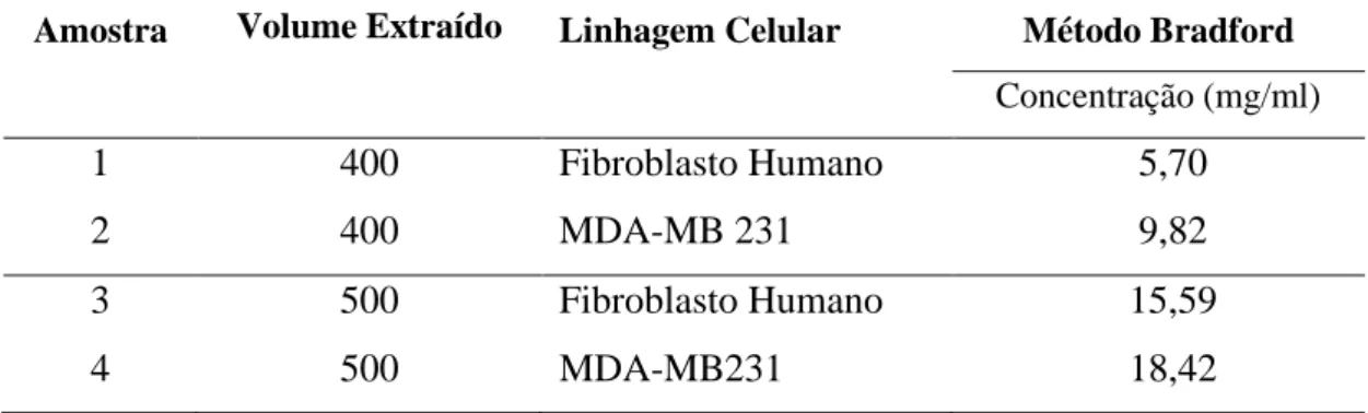 Tabela 7. Quantificações das proteínas totais provenientes de 400µl e 500µl de EV purificadas  de sobrenadante de linhagens celulares por ultracentrifugação diferencial