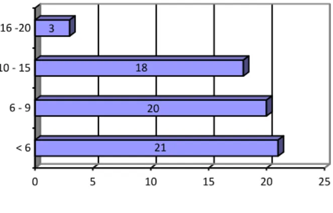 Gráfico  5.4  –  Distribuição  dos  indivíduos  por  tempo  dispendido  em  cada  visita  de  DIM  (em minutos)