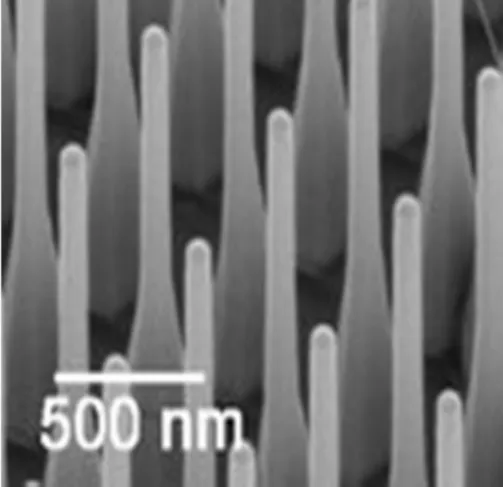 Figure 1 Nanowires [1]