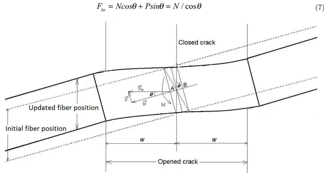 Figure 2   Fiber positions before and after deformation when the crack opened to 2w.  