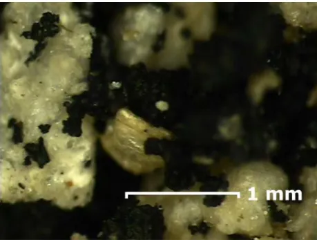 Figure 1   Microphoto of sample M-1 obtained with Mitutoyo Vision Machine. Particle  of rubber, EPS and vermiculite can be observed