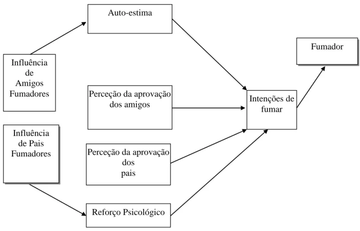Figura 3: Esquema do Modelo Estrutural das Influências de Fumar   (adaptado de Flay et al., 1994)