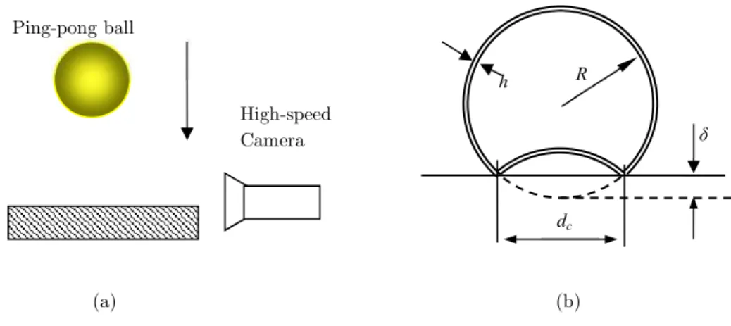 Figure 1: Diagram for the experimental setup and specimen. 