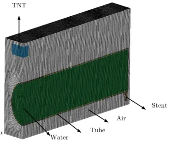 Figure 7: The finite element model. 