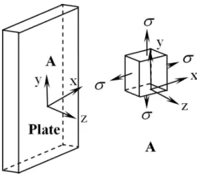 Figure 7: Stress state of directional PMMA plate. 