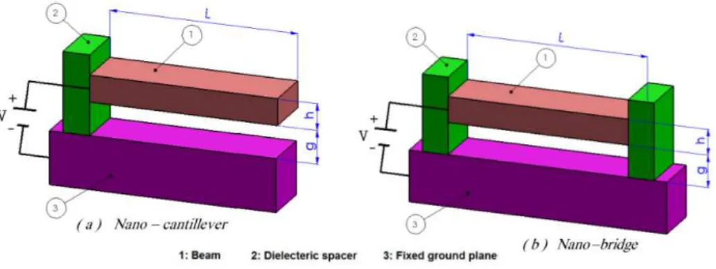 Figure 1: Schematic representations of (a) nano-cantilever and (b) nano-bridge.