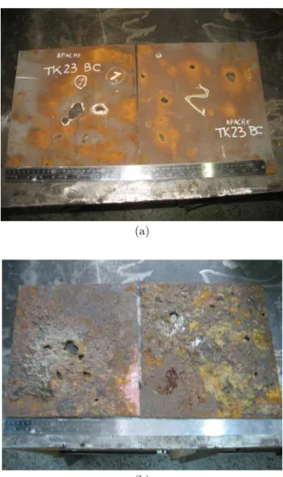 Figure 1: Corrosion perforations in a steel plate at the bottom of a tank, showing (a) external and (b) internal  surfaces (Photographs by Dr