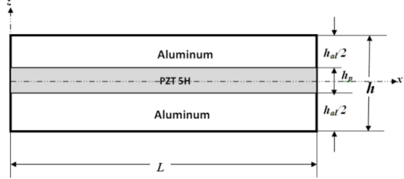 Figure 3: Geometry of a sandwich shear mode beam. 