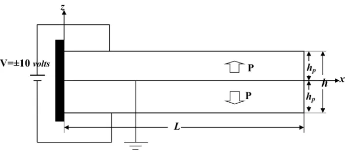 Figure 5   Bimorph cantilever in actuator configuration. 
