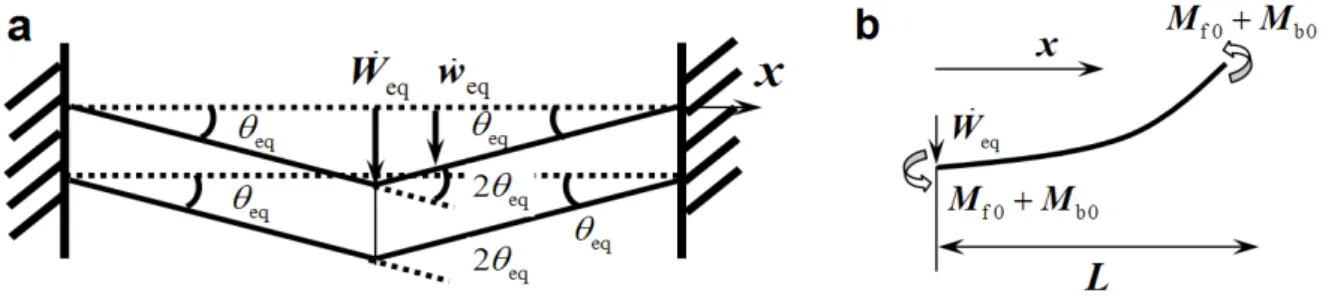 Figure 6   (a) Velocity profile of the beams in phase III- system deformation; (b) a free body diagram of the left half beams in phase  III- system deformation.