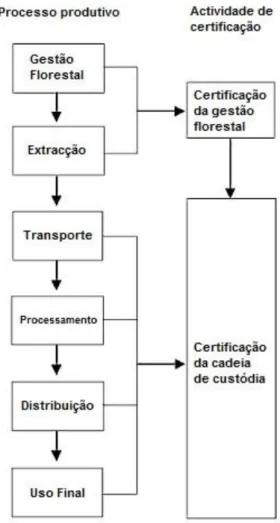 Figura 2.1 - Esquema do processo produtivo florestal  integrado  com  a  certificação  da  gestão  florestal  e  da  certificação da cadeia de custódia