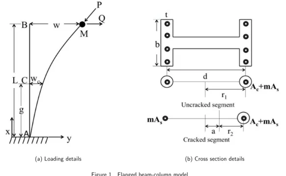 Figure 1   Flanged beam-column model