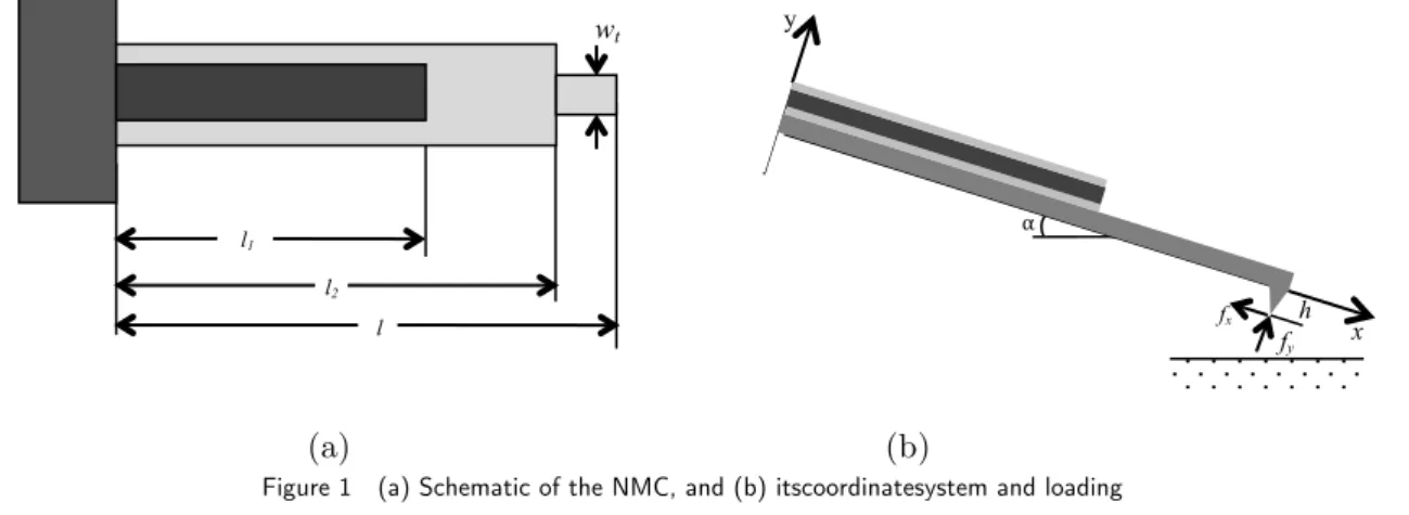 Figure 1   (a) Schematic of the NMC, and (b) itscoordinatesystem and loading ll2 l1 wt  f y fx  h  x y α