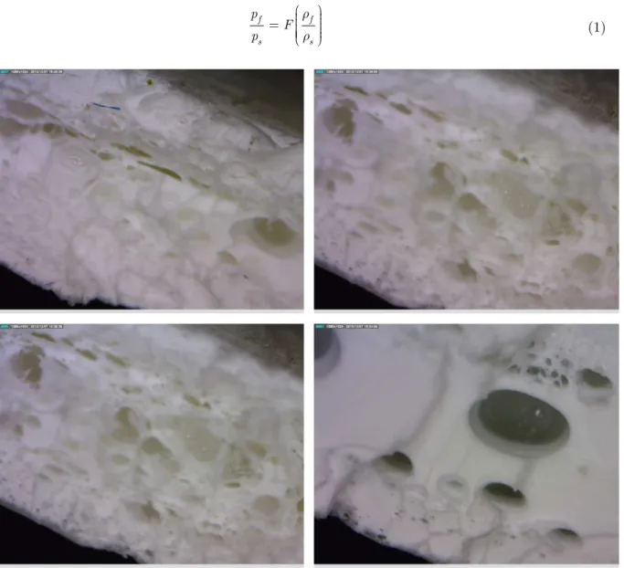Figure 1   Section after tensile failure of the microcellular ABS examined: thickness of the sample, along the vertical direction in the pic- pic-tures, is 3.2 mm