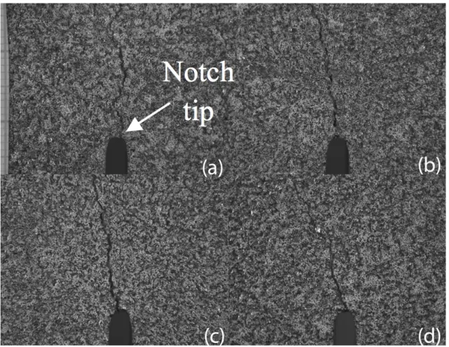 Figure 3   Experimental crack trajectories: (a)  x c  = 0 mm; (b)  x c  = 24 mm; (c)  x c  = 48 mm; (d)  x c  = 72 mm; 