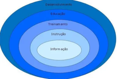 Figura 1. Níveis de ações organizacionais. 