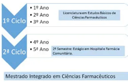 Figura 5. Educação em Ciências Farmacêuticas