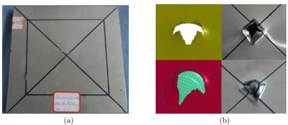 Figure 16: Illustration of the specimen. (a) The undeformed schematic of the specimen; 