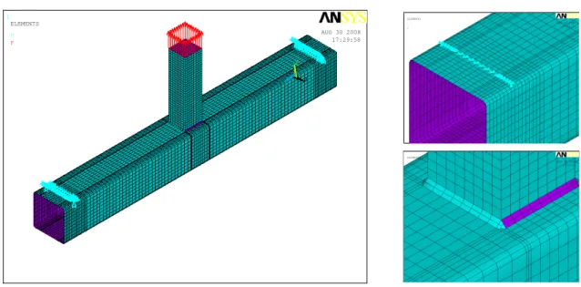 Figure 7: Overall view, root radius and weld of the numerical model for the analysis of the T joints