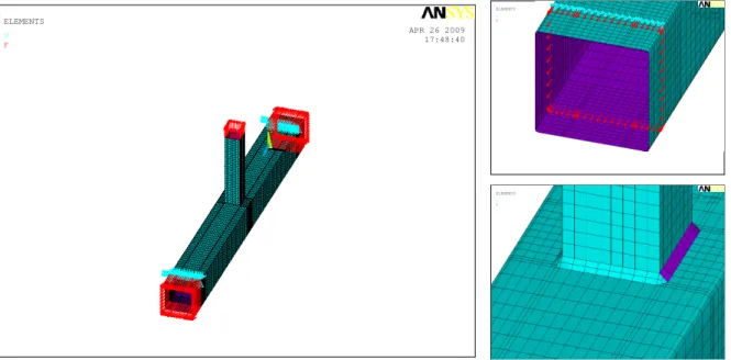 Figure 2: General view and details of the numerical model for T joints. 