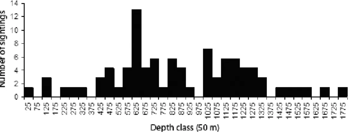 Figure  3.  Group  size  sighting  distribution  over  size  classes  of  5  individuals  (1  to  85);  the  aggregation  with  170  to  180  individuals is not represented (N = 73).