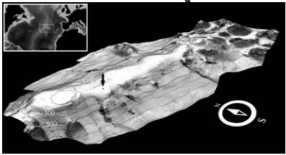 Fig. 1 to 3). It was a one meter high pyramidal  frame, with a diameter varying from 170 cm at  the base to 113 cm at the top