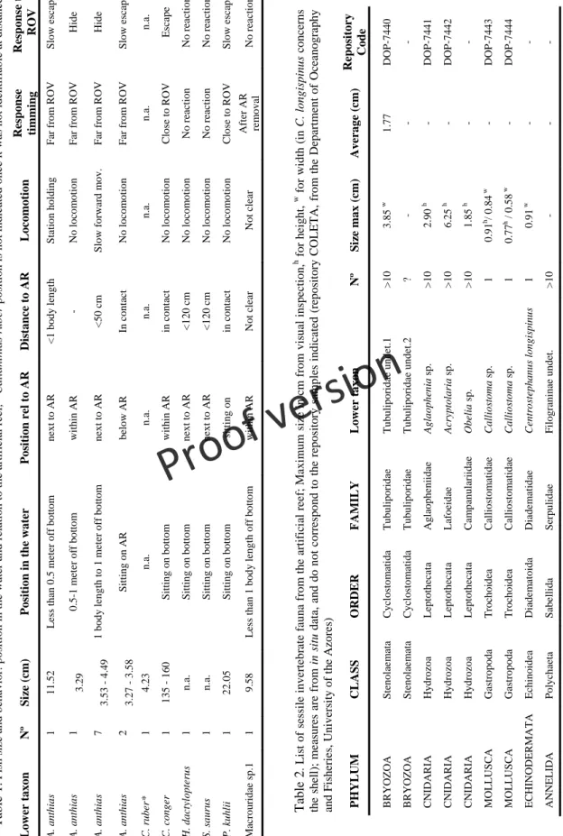 Table 1. Fish size and behavior: position in the water and relation to the artificial reef; *Callanthias ruber position is not indicated once it was not identifiable at distance