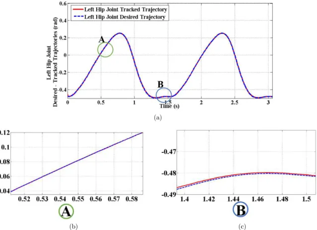 Figure 11: (a) The desired and tracked trajectories of Left hip joint of a self-impact biped for two gait cycles  (b) The period of the self-impact constraint activation in the stance phase 