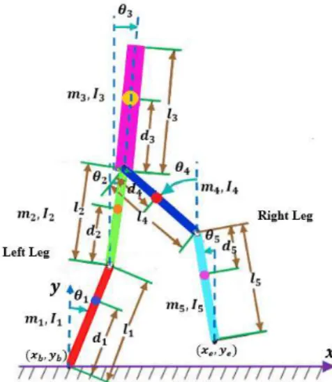 Figure 2: Schematics of an unconstrained biped.