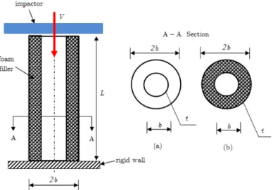 Figure 2 :  Thin-walled tube under axial impact loading with dimensions and boundary loading conditions:       