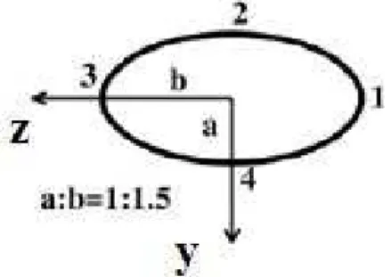 Figure 4: Points considered on the crack surface for stress intensity factor calculation.