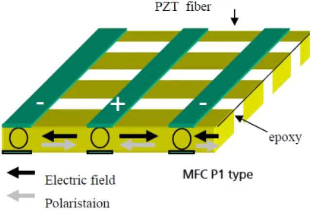 Figure 2: Electrical field and polarization for       MFC effect, Schönecker et al. (2006)