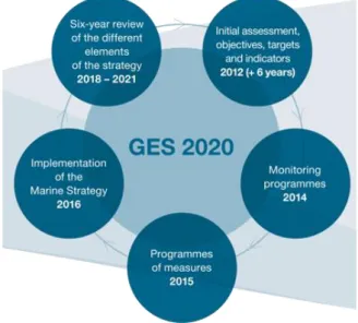 Figure 5 - MSFD implementation cycle (Source: European Commission 3 ) 