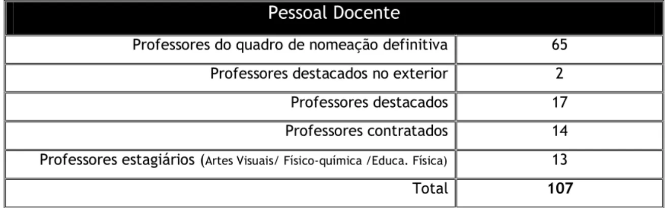 Tabela 3 - Recursos Humanos – quadro da situação profissional do professor na escola. 