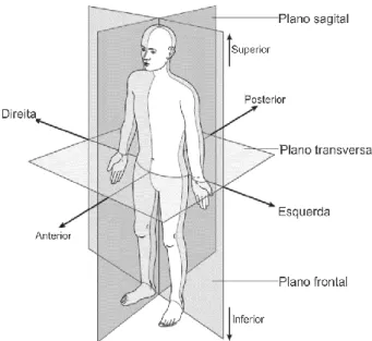 Figura 3.1 - Posição anatômica do corpo humano com três planos de referência e seis direções  fundamentais
