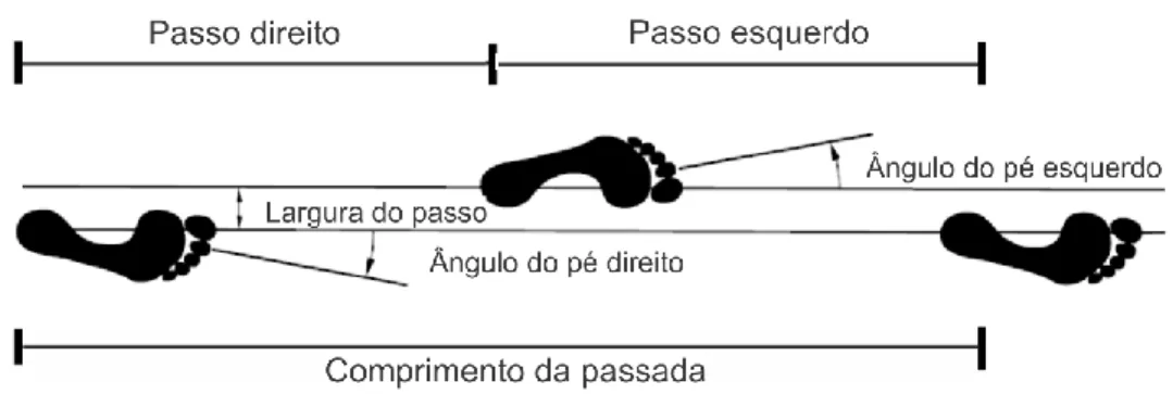 Figura 3.4 - Parâmetros espaciais da caminhada. Fonte: Adaptada de Vaughan et al. (1999) 