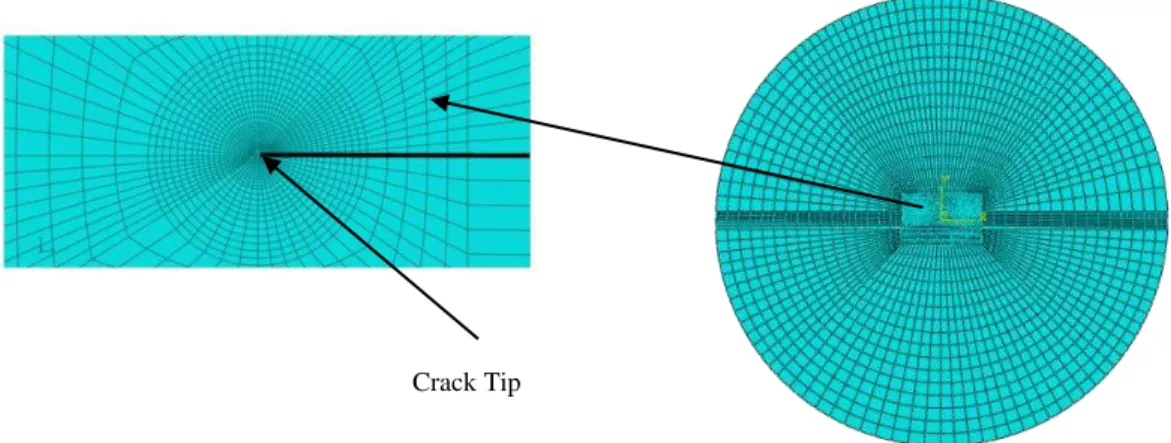 Figure 3: The mesh pattern for the simulated sandwich Brazilian disk . 