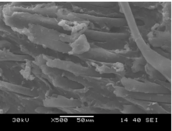 Figure 18: SEM images for the Kevlar fibre-reinforced rubber: a) magnification 70, b) magnification 200, c)  magnification 500