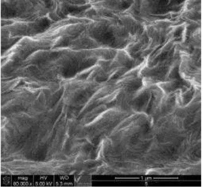 Figure 10: SEM micrograph for CPNC made of HDPE and nanomer I.34TCN. 