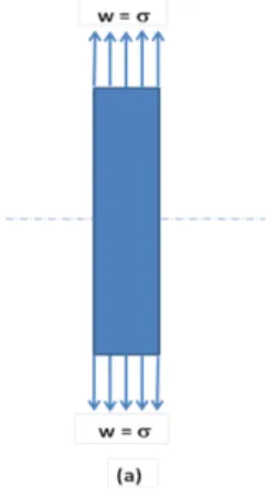 Figure 13: Non standard flat sheet samples for tensile test.   