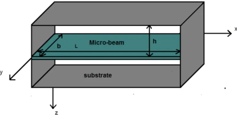 Figure 3: Shematic of proposed model for studying squeeze film damping. 