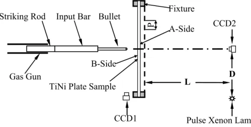 Figure 1: Set up for TiNi alloy plate transverse impact experiment. 