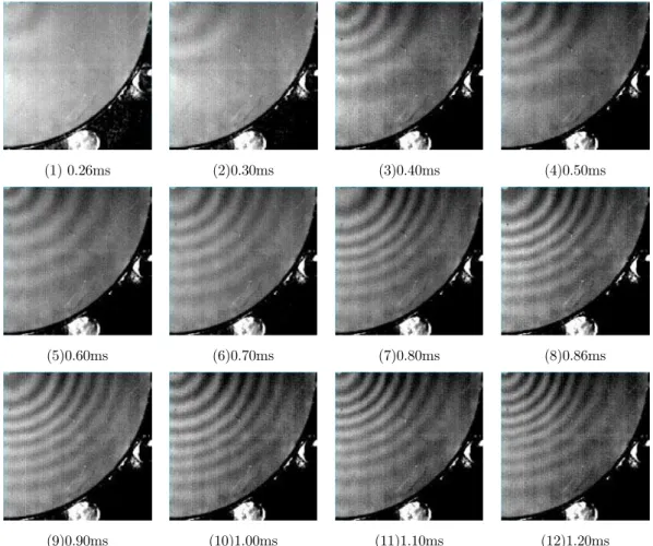 Fig 5 is part of moiré image of typical experiment 9 taken by CCD2. The distribution of full-field  deflection and evolution at different times during the impact process obtained based on the moiré  image through formula (1)