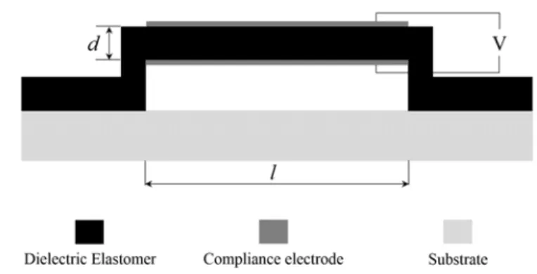 Figure 1: Schematic of micro-bridge resonator. 