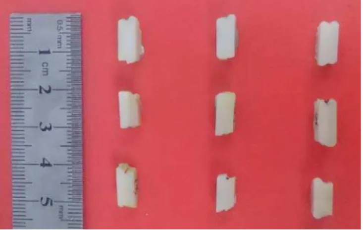 Figure 1: Layered specimens prepared from different shades of each restorative material