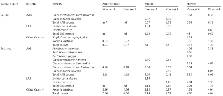 Table 2 shows that sound grape samples harbour very low num- num-bers of AAB, which were only detected at the middle of ripening (1.18 log MPN/mL) and on mature grapes (0.49 log MPN/mL)  (aver-age of both vine sets)