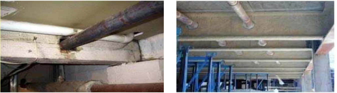 Figure 1: Beams with openings. 