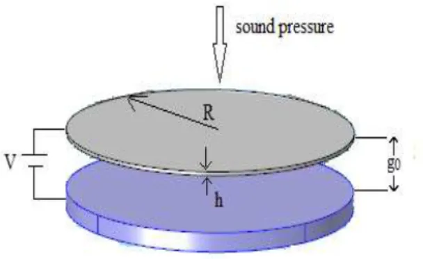 Figure 1: Schematic illustration of the capacitive microphone with electrostatic actuation
